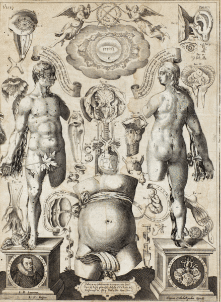 <em>Catoptrum microcosmicum, Johann Remmelin</em>